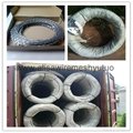 BTO-22 5kg carton packing hot dip galvanized concertina razor wire for fence 4