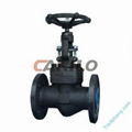 Globe Valve