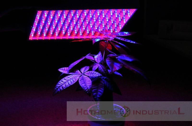 14w led grow light panel led panel grow 225pcsx0.064w Red+Blue 85-265V 2