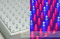 14w led grow light panel led panel grow 225pcsx0.064w Red+Blue 85-265V