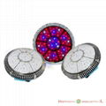 90W greenhouse led grow light hydroponics 48pcs*3W Red=630nm Blue,=460nm,R/B=8/1