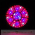 140w led ufo lamp for plants induction grow light Red-66pcs Royal Blue-9pcs 4