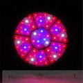 140w led ufo lamp for plants induction grow light Red-66pcs Royal Blue-9pcs