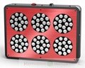 Red 200w Hot Selling hidroponia led grow lights hydroponic systems Red Blue 2:1