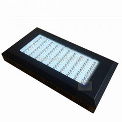 300w led grow grow led 300w Red Blue Orange 7:1:1 +Black Shell