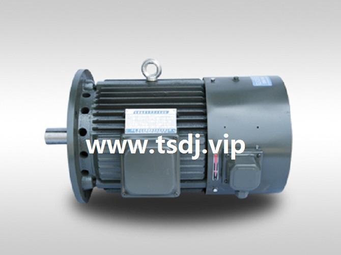 YVP100L1-4变频电机、振动电机厂家、VB振动电机、YZS振动电机 5
