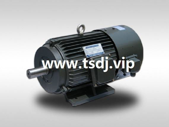 YD180L-8/4 B5 变极多速电机、振动电机厂家、VB振动电机、YZS振动电机 4
