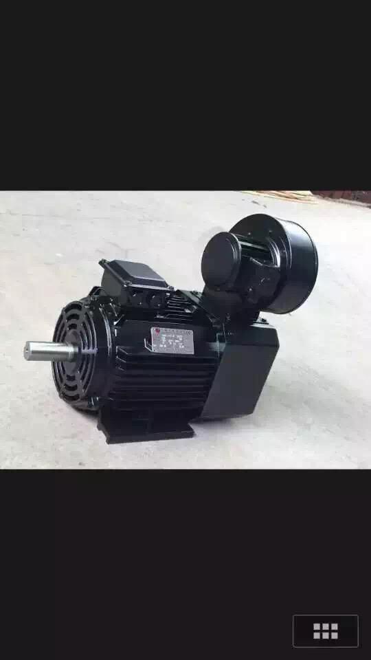 DLF-3-9N.MB5-CY電纜卷筒用三相異步電機 4