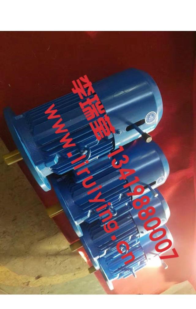 YEJ100L1-4 B5 立式制動電機、振動電機廠家、VB振動電機、YZS振動電機 5