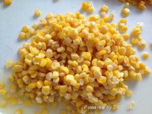 Canned Vegetable Canned Sweet Corn 340g*24tins