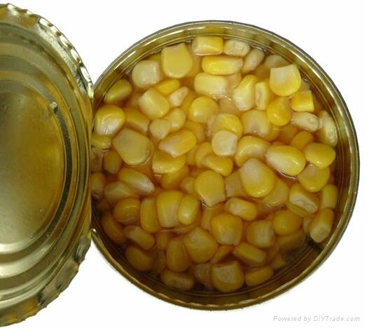Canned Vegetable Canned Sweet Corn 340g*24tins 3