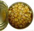 Canned Vegetable Canned Sweet Corn 340g*24tins 3