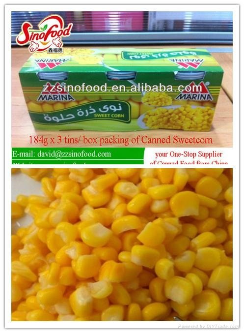 Canned Vegetable Canned Sweet Corn 340g*24tins 2