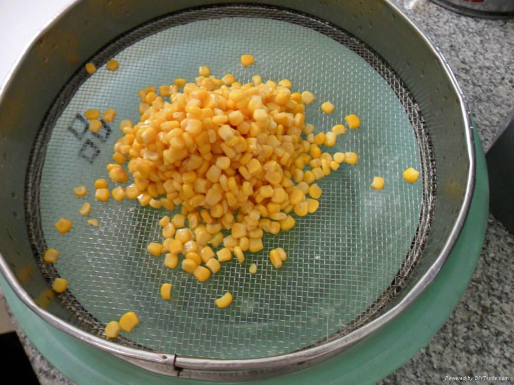 Canned Vegetable Canned Sweet Corn 340g*24tins 5