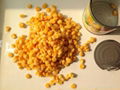 Canned Sweet Corn with Metal Tins