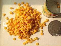 Canned Sweet Corn with Metal Tins 850g*12tins