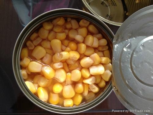 Canned Sweet Corn with Metal Tins 850g*12tins 2