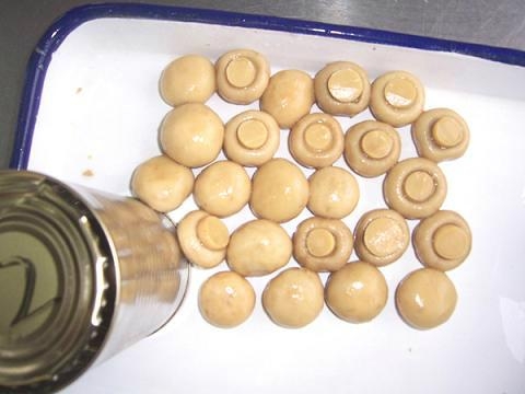 Canned Mushroom Whole with Top Sales