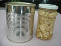 Canned Food Canned Mushroom Pieces and Stems