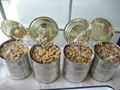 Canned Mushroom PNS  1