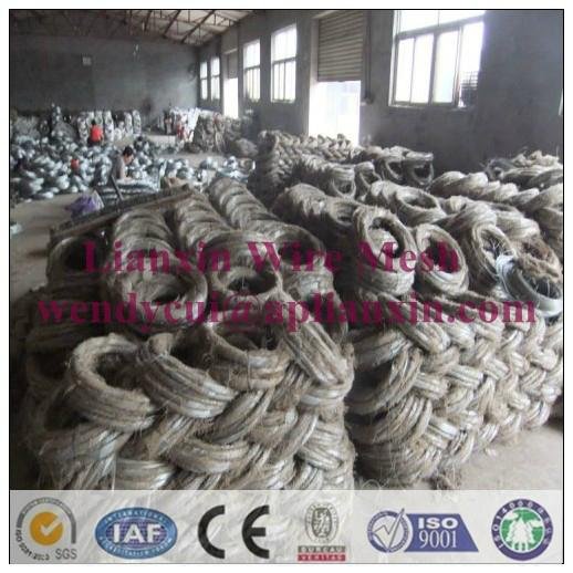 Lianxin offer common nails
