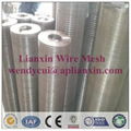 Lianxin offer welded wire mesh 2