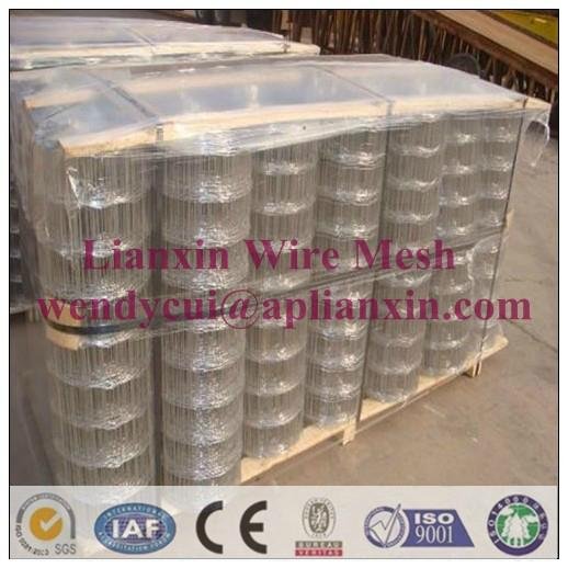 Lianxin offer welded wire mesh 5