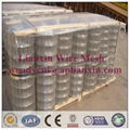 Lianxin offer welded wire mesh 5