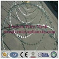 Lianxin offer barbed wire 2