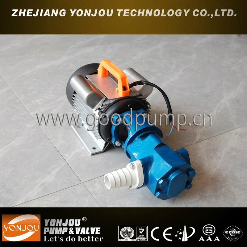 WCB portable oil pump 2