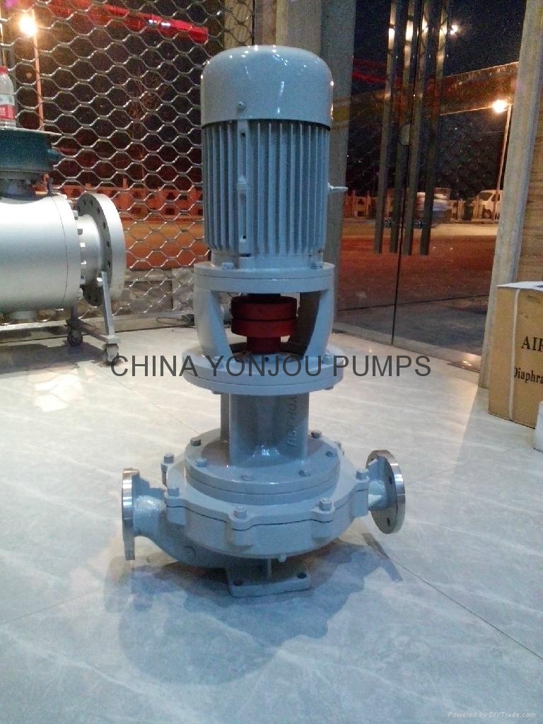 Vertical hot oil pump LQRRY YONJOU (China Manufacturer) Pumps