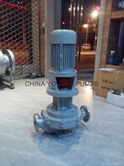 Vertical hot oil pump