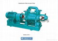 Water ring vacuum pump 2