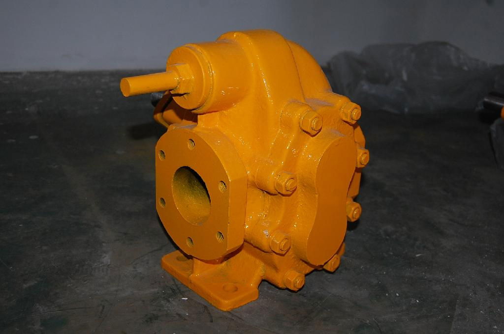 Diesel Engine Gear Pump 2