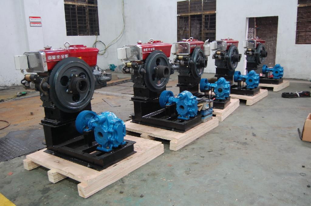 Diesel Engine Gear Pump 3