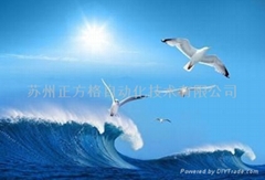 苏州正方格自动化技术有限公司 苏州正方格自动化技术有限公司