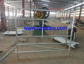 Cattle panel galvanized 