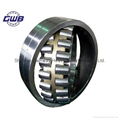 Spherical Roller Bearing inChina