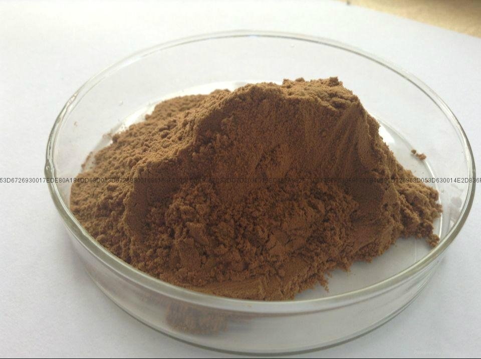 Puerariae extract（Kudzuvine Root extract 4
