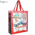 Full Color Print PP Laminated Nonwoven Fabric Handbag 2