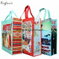 Full Color Print PP Laminated Nonwoven Fabric Handbag 5