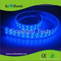 LED flexible strip  2