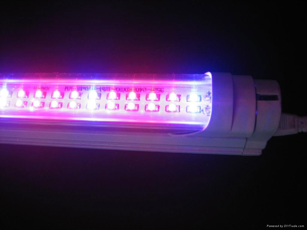 T8 LED 植物生長燈 3
