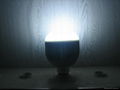 LED Bulb 1