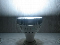 LED Par30 spot Light