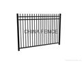 Ornament Steel Fence  1800x2400 3 Rails  Spear Top 1