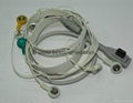 GE holter 10ld ecg cable 1