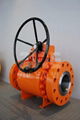 Trunnion mounted ball valve