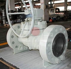 Top Entry Ball Valve