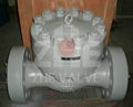 Forged Steel Swing Check Valve 2